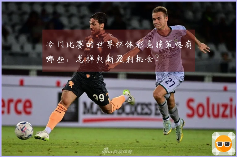 冷门比赛的世界杯体彩竞猜策略有哪些，怎样判断盈利机会？