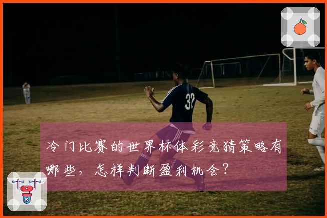 冷门比赛的世界杯体彩竞猜策略有哪些，怎样判断盈利机会？
