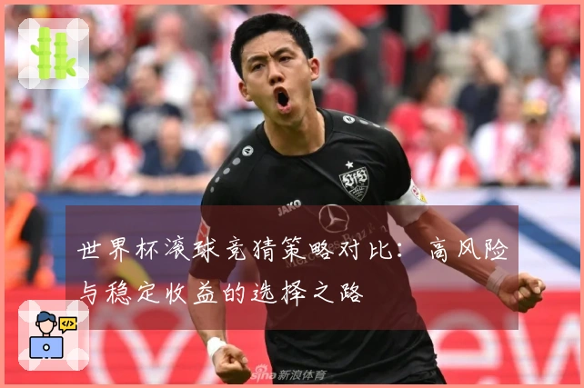世界杯滚球竞猜策略对比：高风险与稳定收益的选择之路