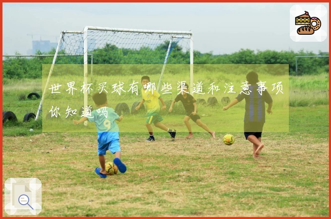 世界杯买球有哪些渠道和注意事项你知道吗