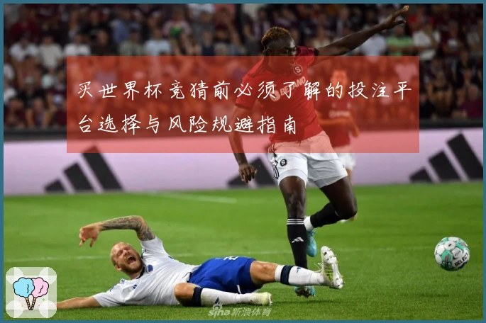买世界杯竞猜前必须了解的投注平台选择与风险规避指南