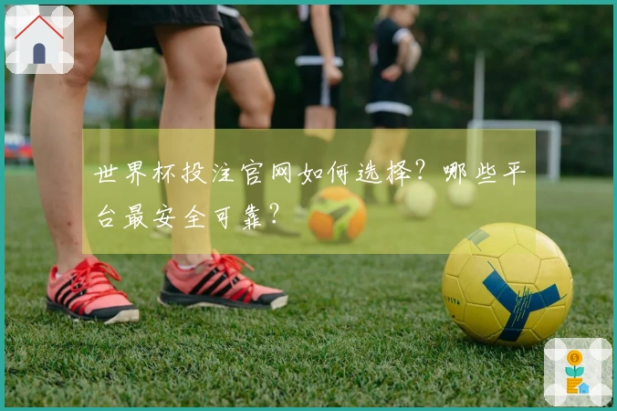 世界杯投注官网如何选择？哪些平台最安全可靠？