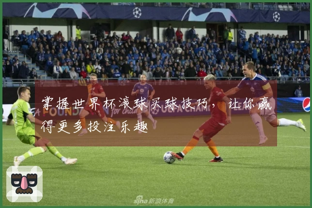 掌握世界杯滚球买球技巧,让你赢得更多投注乐趣