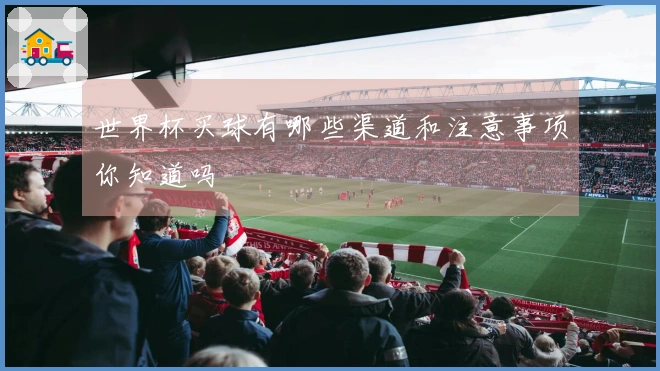 世界杯买球有哪些渠道和注意事项你知道吗