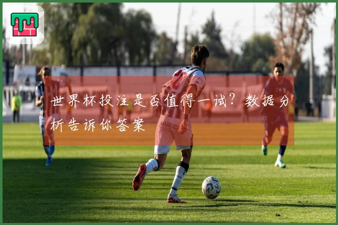 世界杯投注是否值得一试？数据分析告诉你答案